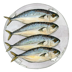 Mackerel fish on the plate watercolor illustration. Fresh sea tasty bonito catch on the dish image. Isolated on white background.