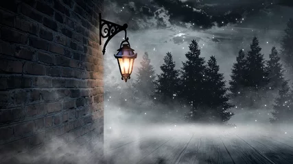 Foto op Plexiglas anti-reflex Donkere straat, een lantaarn op een oude bakstenen muur, een grote maan, rook, smog. Nachtscène van de oude stad, donker bos. © MiaStendal