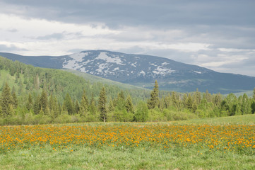 Fototapeta premium Altay mountain