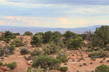 Scenic view of Canyonlands National Park in Utah.