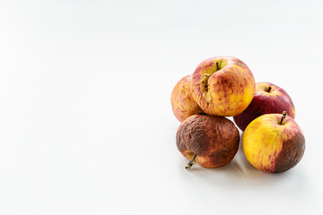 Ugly rotten apples on a light background. Horizontal orientation, copy space.