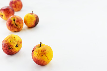 Ugly rotten apples on a light background. Horizontal orientation, copy space.