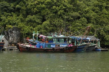 Fototapeta na wymiar Bai Tu Long Bay, Vietnam »; August 2017: A local green fishing boat in Bai Tu Long Bay