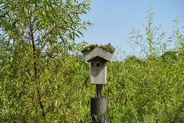 Wooden birdhouse with moss growing on the roof.