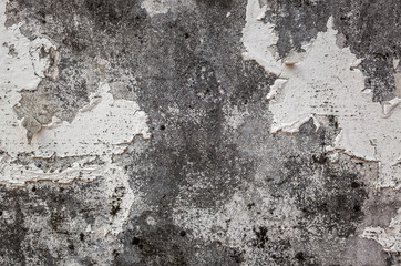 cement wall with oil cracked texture