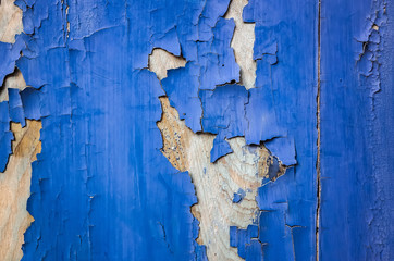 weathered wood planks wall in blue color