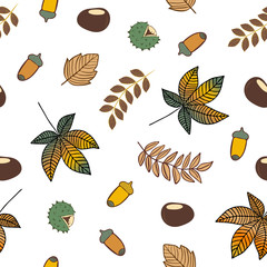 Autumn leaves, chestnuts and acorns, natural colors on white background. Vector seamless pattern.