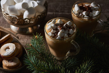 cacao with marshmallow and cacao powder in mugs near pine branches and cookies on wooden table