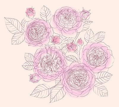 sprig of damask rose on a lilac background