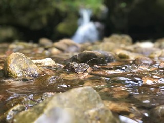 Nature