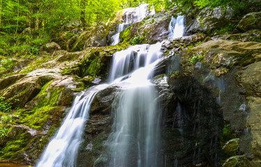 Waterfall in forest of Kashmir 