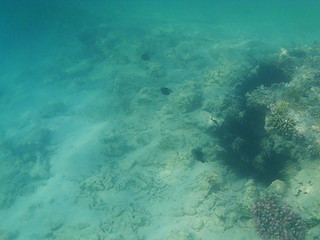 Obraz premium Seaworld