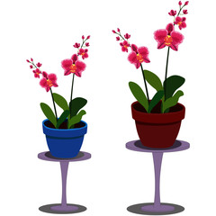 Naklejka na ściany i meble Flowering Plants on Flower Stands - Cartoon Vector Image