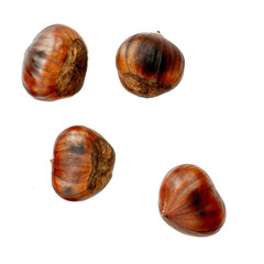 Chestnuts isolated on white background. Various  Roasted  sweet Chestnuts, top view