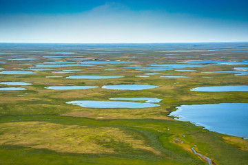Landscape of the arctic tundra in summer. Rivers, lakes, northern vegetation. View from above. The...