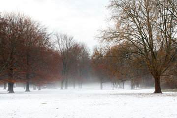 Winter in the park, Grober Tiergarten Park, Berlin, Germany