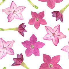 Watercolor pink tobacco flowers seamless pattern. Hand drawn floral illustration on white background for textile, wrapping paper, greeting card, fashion, design, decoration