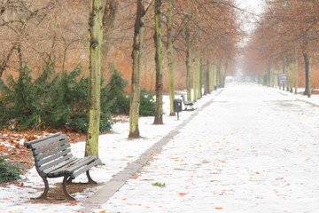 Bench in the park at winter, Grober Tiergarten Park, Berlin, Germany