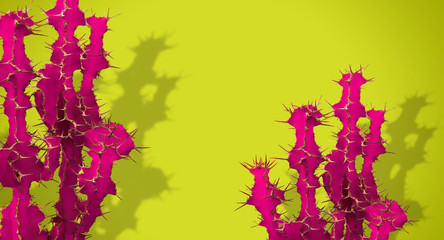 Naklejka premium Cactus, Euphorbia grandicornis, Cow's Horn Succulent Plant in bright fuchsia tone color on a lime background. Colorful Design Image