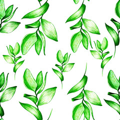 tropical leaf. hand drawing with pencil, ink. Summer botanical flower, pattern for textile decor and wallpaper design, beautiful monochrome illustration. stock graphics