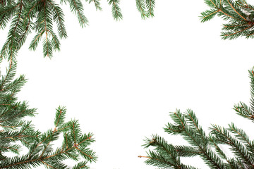 Frame from christmas tree branches on white background