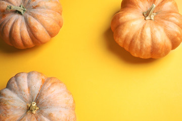 Fresh ripe pumpkins on yellow background, flat lay. Holiday decoration