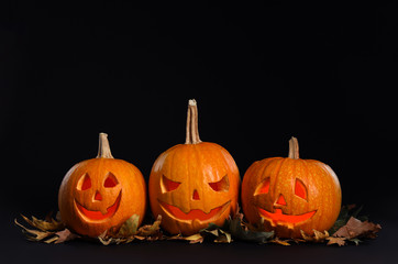 Pumpkin heads with autumn leaves on black background. Jack lantern - traditional Halloween decor