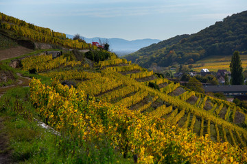 Blick auf Soultzmatt im Elsass im Herbst