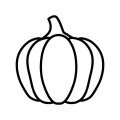 autumn pumpkin food isolated icon vector illustration design