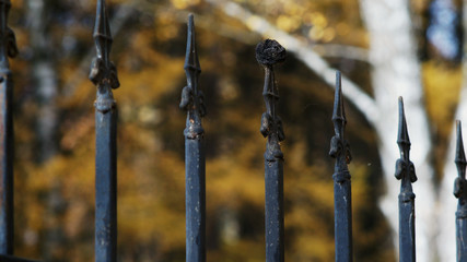 wrought-iron spikes of the fence in the park