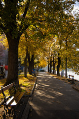 Naklejka premium autumn in the park