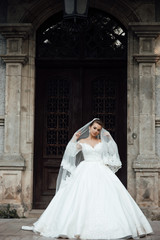 Obraz premium Attractive young bride in white dress with wedding make up and hair style on the background of the big door. Fashion, beauty, style. Wedding photography.