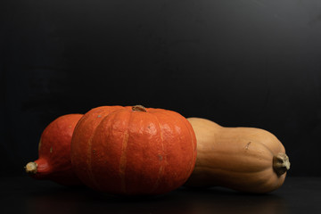 Autumn orange Pumpkin Thanksgiving Background