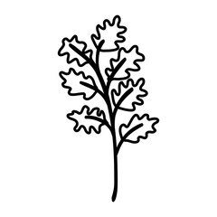 Obraz premium autumn branch with leafs isolated icon vector illustration design