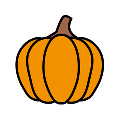 autumn pumpkin food isolated icon vector illustration design