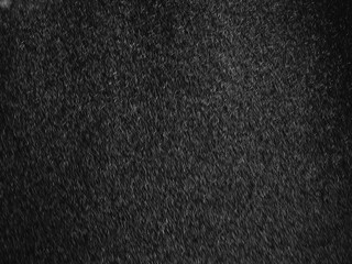 Fototapeta premium rain on black background