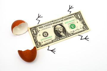 one-dollar bill hatched from an egg, white background, macro