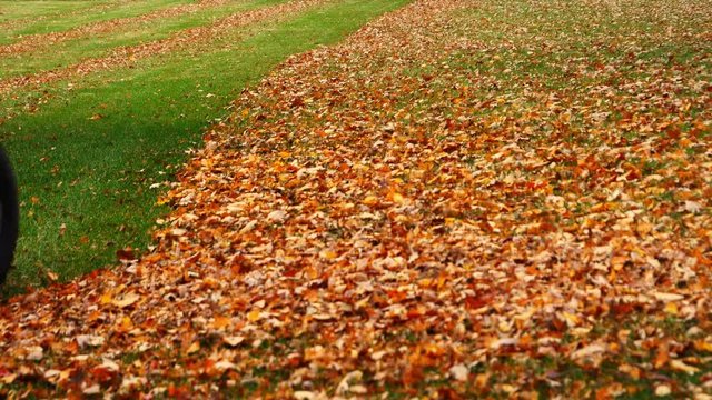Riding lawn mower cuts grass and mulches autumn leaves in a neighbourhood backyard in evening light. Mower comes toward camera, turns around and drives away.