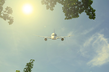 Airliner between green leaves in blue sky.