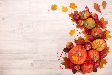Thanksgiving background. Autumn harvest