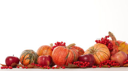 Thanksgiving background. Autumn harvest