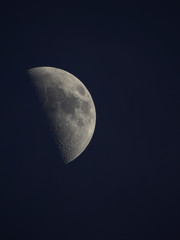 Half moon on dark sky at twilight