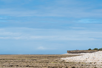 Un paysage de plage déserte. Une grande plage vide.