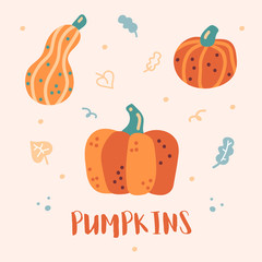 Clipart vector pumpkins. Set of cute pumpkins. Design elements. Orange color. Pumpkins with leaves. Print.