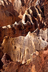le canyon, Réserve nationale d'Ankarafantsika, Madagascar