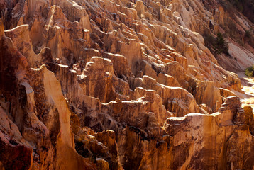 canyon, grands lavaka Ankarokaroka, Parc National Ankarafantsika, Madagascar
