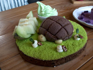 Turtle cake homemade very delicious