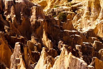 canyon, grands lavaka Ankarokaroka, Parc National Ankarafantsika, Madagascar