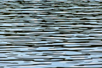 water ripple on the lake