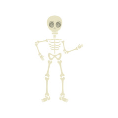 skeleton dead halloween design